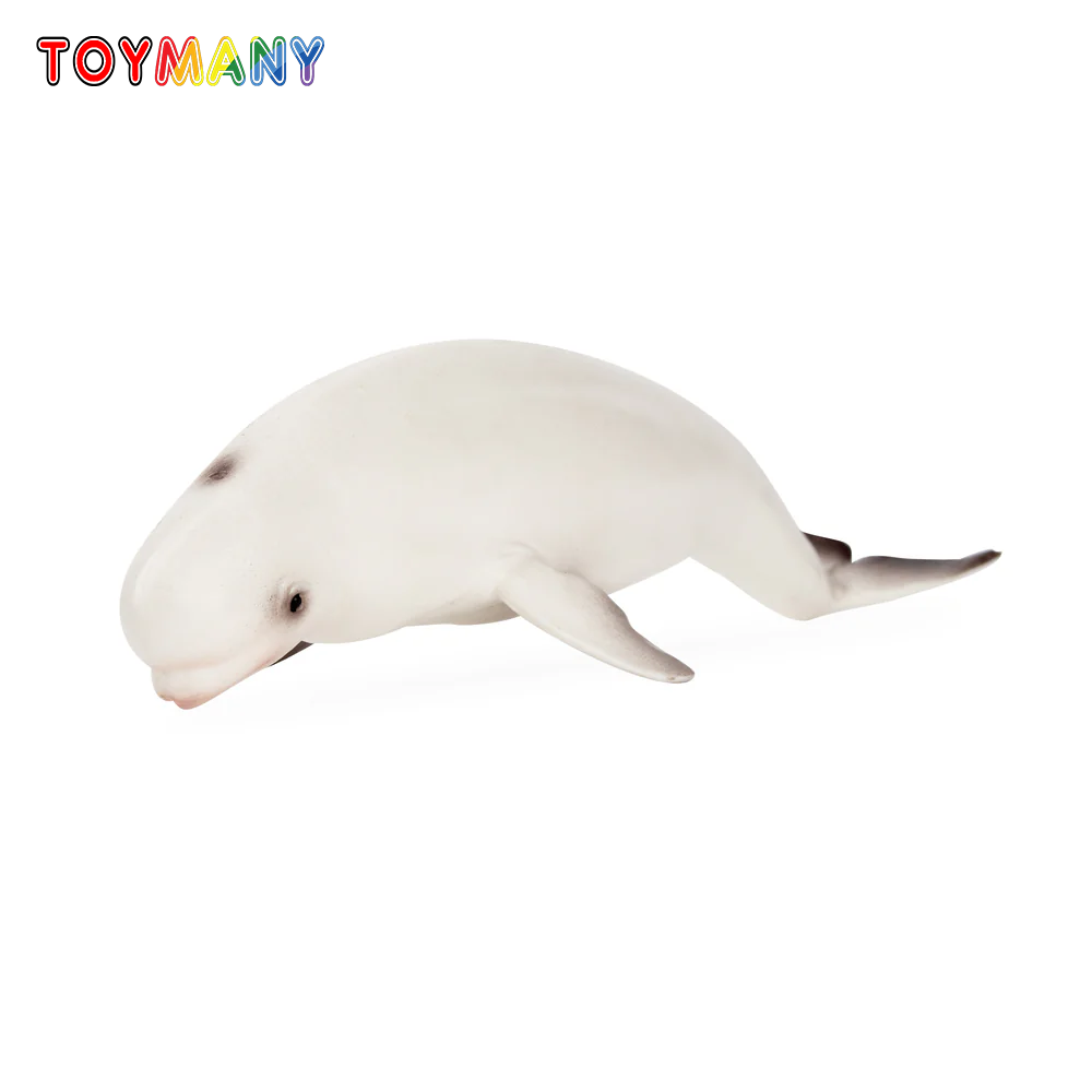 Toymany Simulation Beluga Whal - Kids Toys Latest review and price