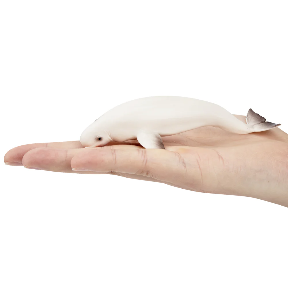 Toymany Simulation Beluga Whal - Kids Toys Latest review and price