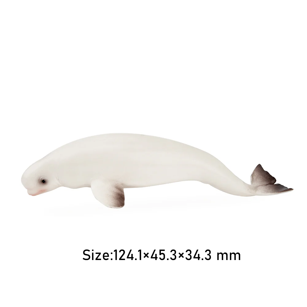 Toymany Simulation Beluga Whal - Kids Toys Latest review and price