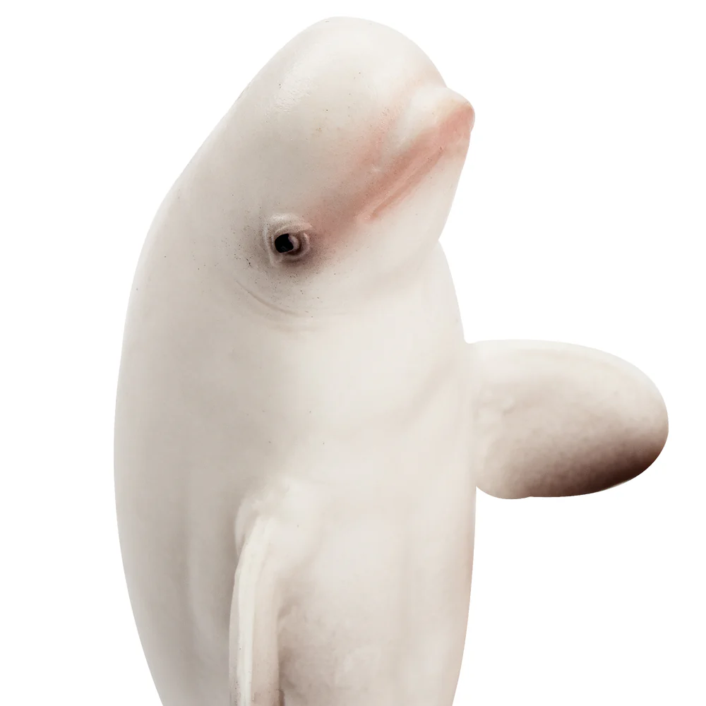 Toymany Simulation Beluga Whal - Kids Toys Latest review and price