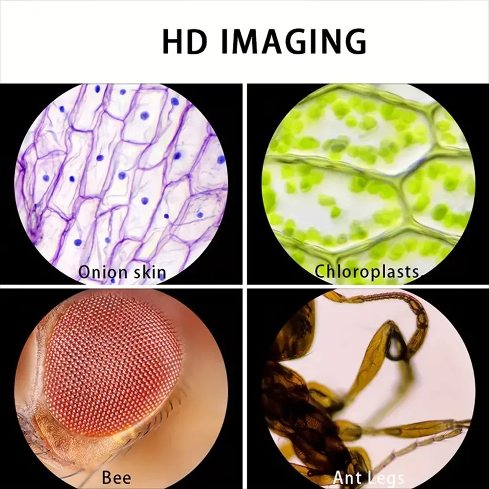 XC Microscope 60-120x Lab Hand - Microscope Kids Science review and price
