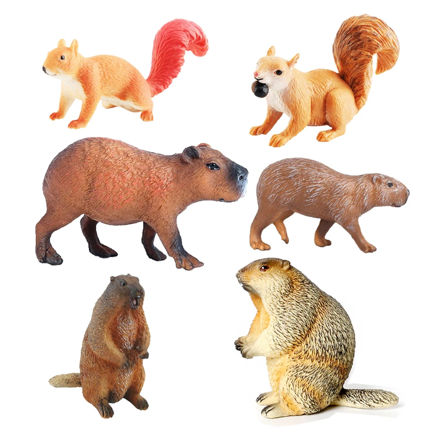 Capibara Capybaras Squirrel Ma - Kids Toys Reviews review and price