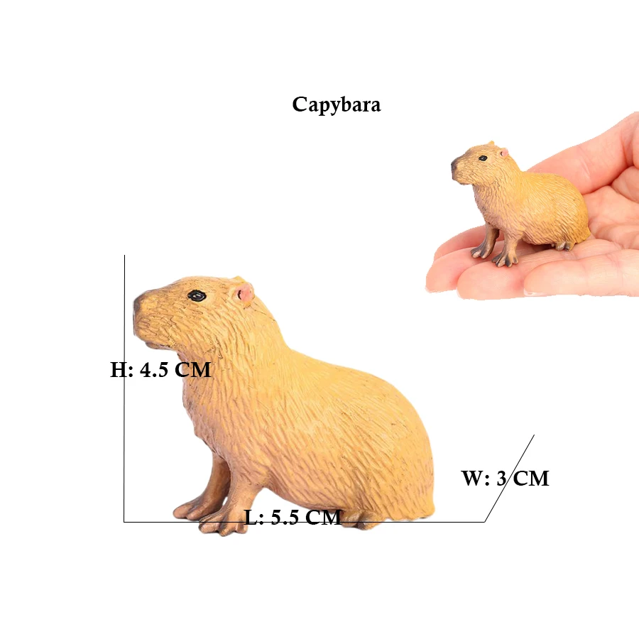 Capibara Capybaras Squirrel Ma - Kids Toys Reviews review and price