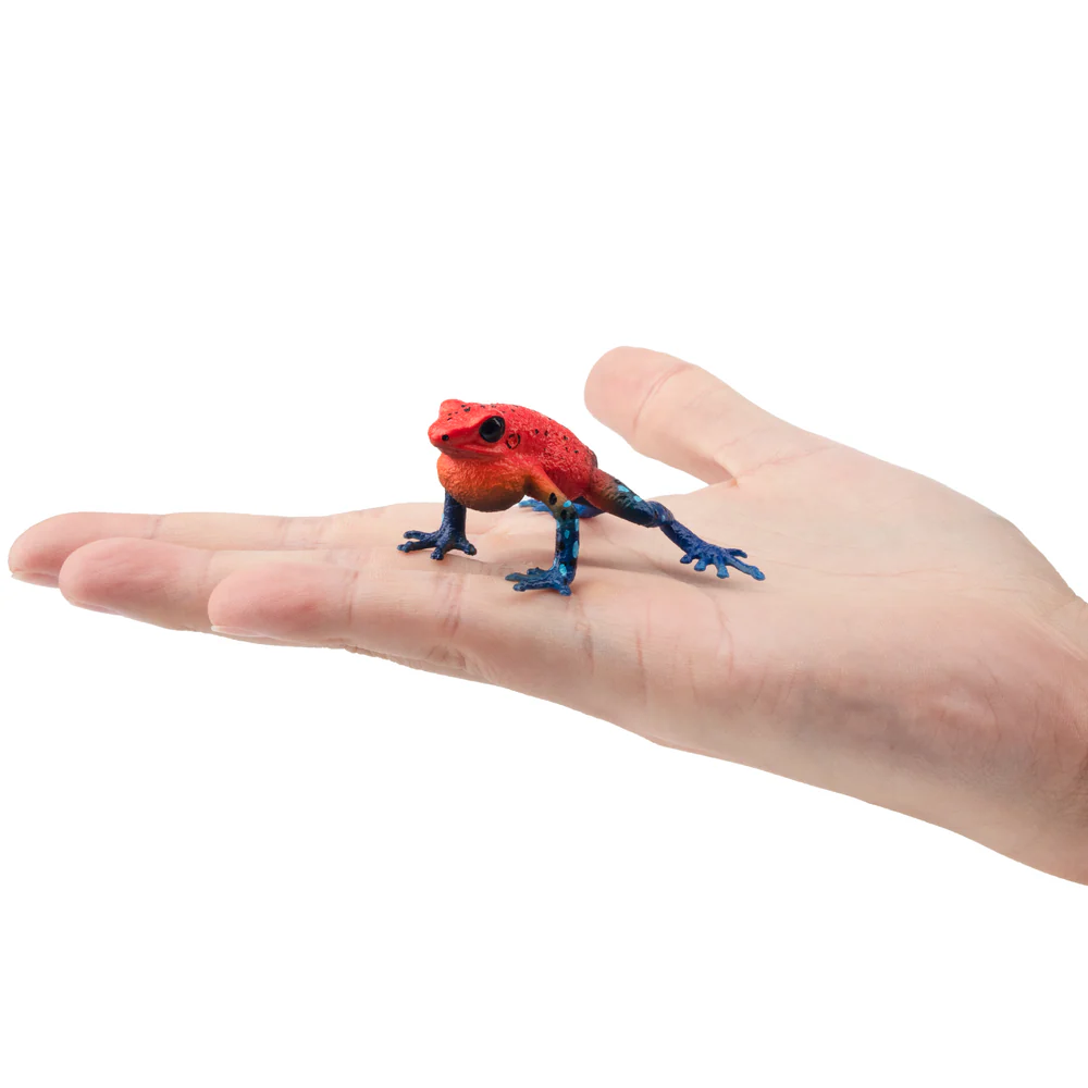 Toymany Simulation Strawberry  - Kids Toys Latest review and price