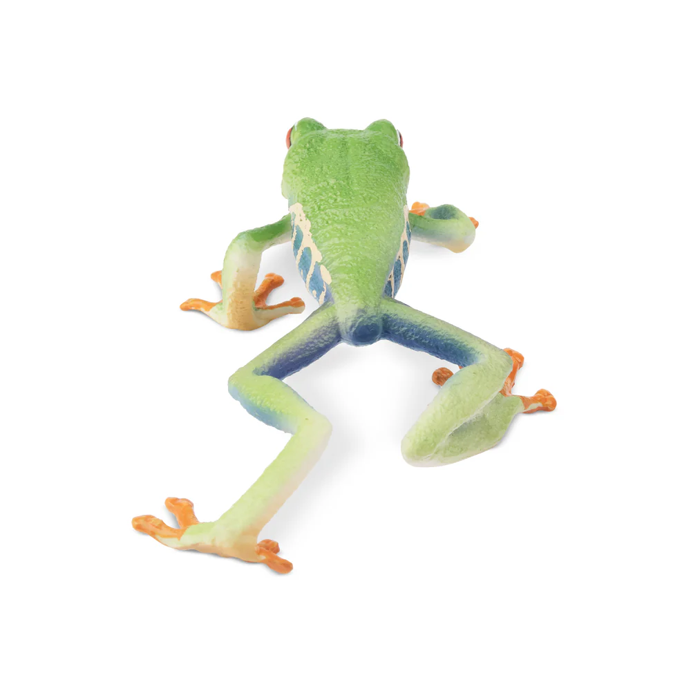 Toymany Simulation Red-eyed Tr - Kids Toys Latest review and price