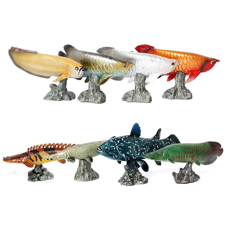 Arowana Pirarucu Coelacanth Bi - Kids Toys Reviews review and price