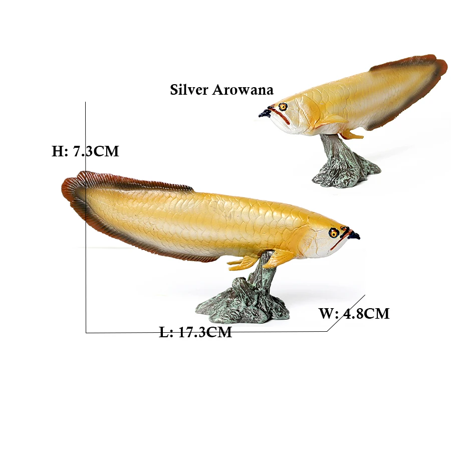 Arowana Pirarucu Coelacanth Bi - Kids Toys Reviews review and price
