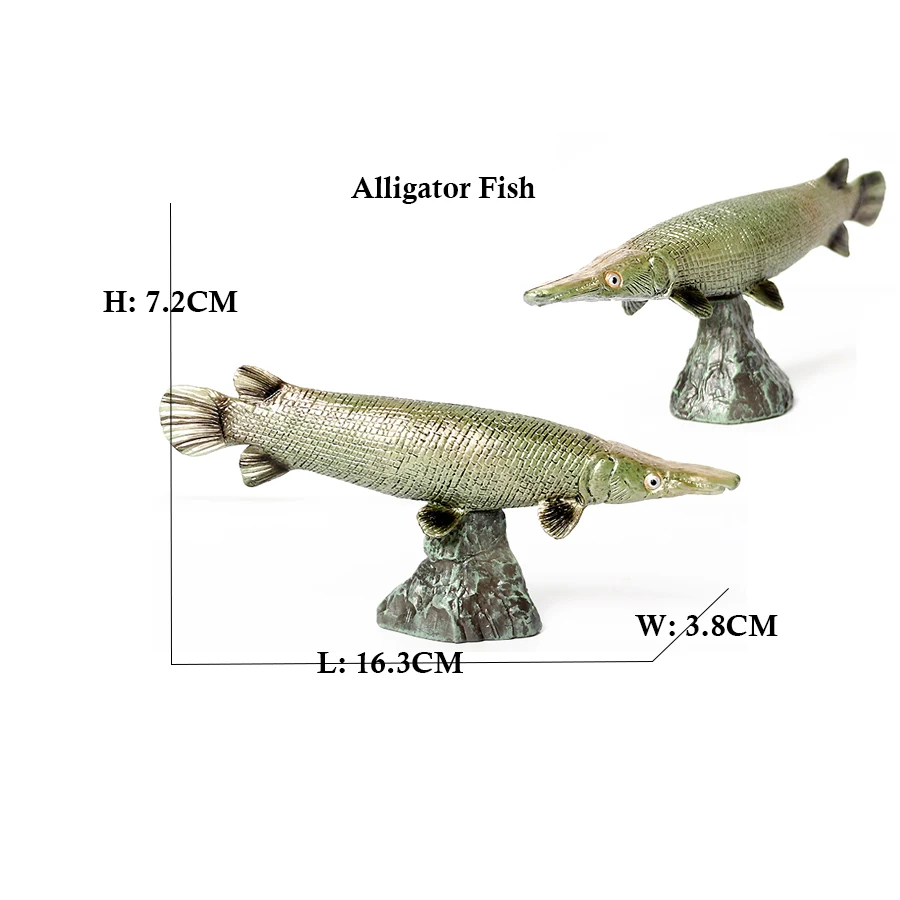 Arowana Pirarucu Coelacanth Bi - Kids Toys Reviews review and price