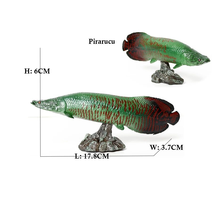 Arowana Pirarucu Coelacanth Bi - Kids Toys Reviews review and price