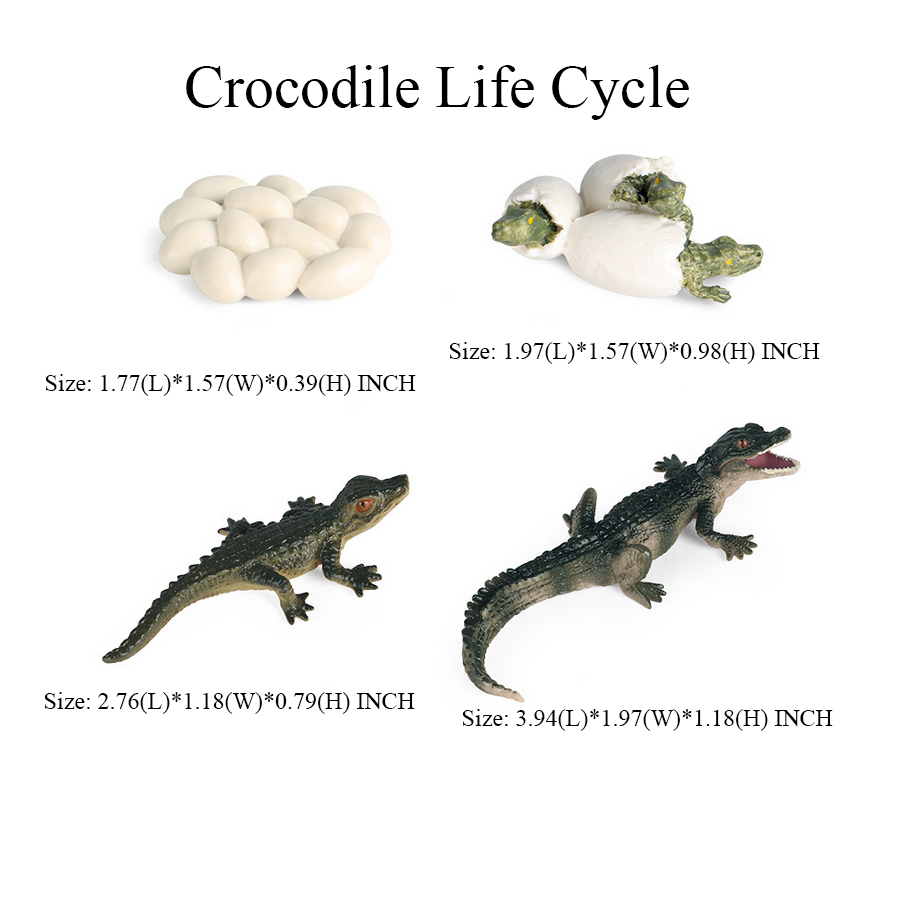Toy of crocodile Figure Toys A - Kids Toys Reviews review and price