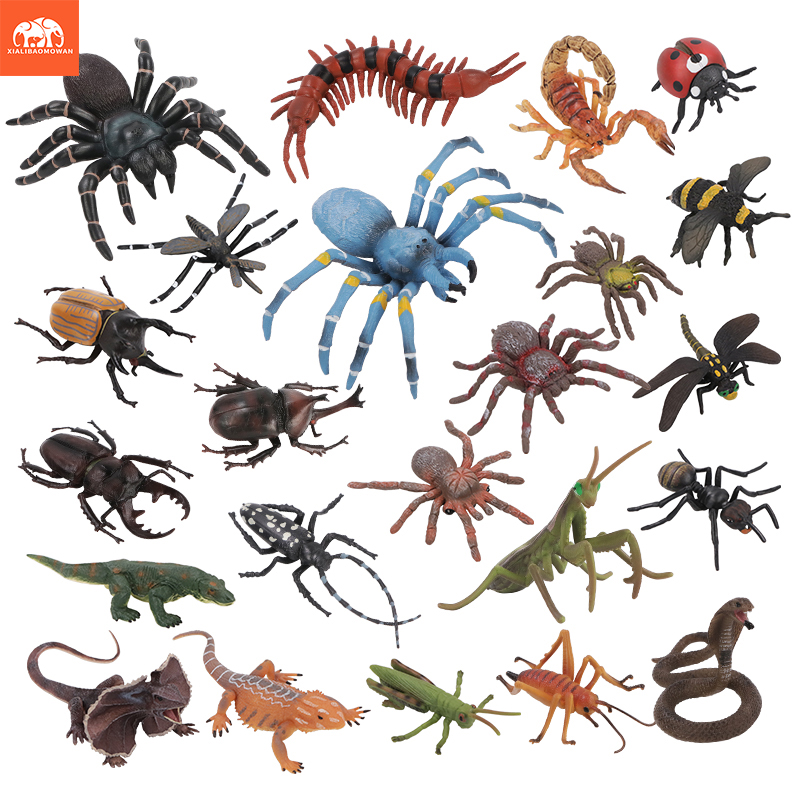 Educational Simulation Insect  - Kids Toys Brand review and price