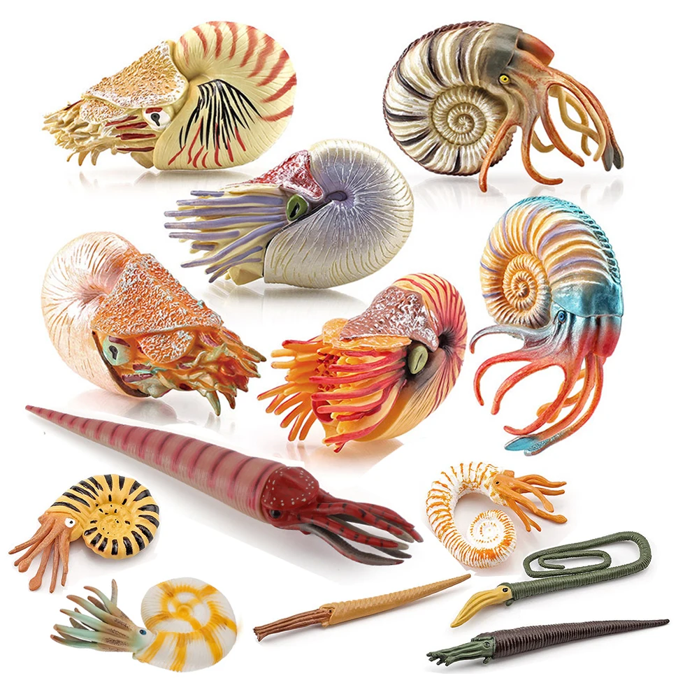 Marine Toy Animals Nautilus Fi - Kids Toys Reviews review and price
